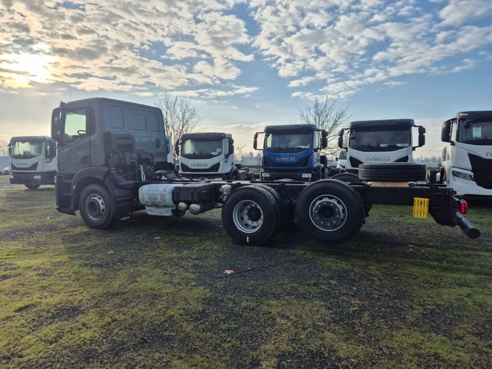 IVECO Mod. IVECO - Lombardia Truck