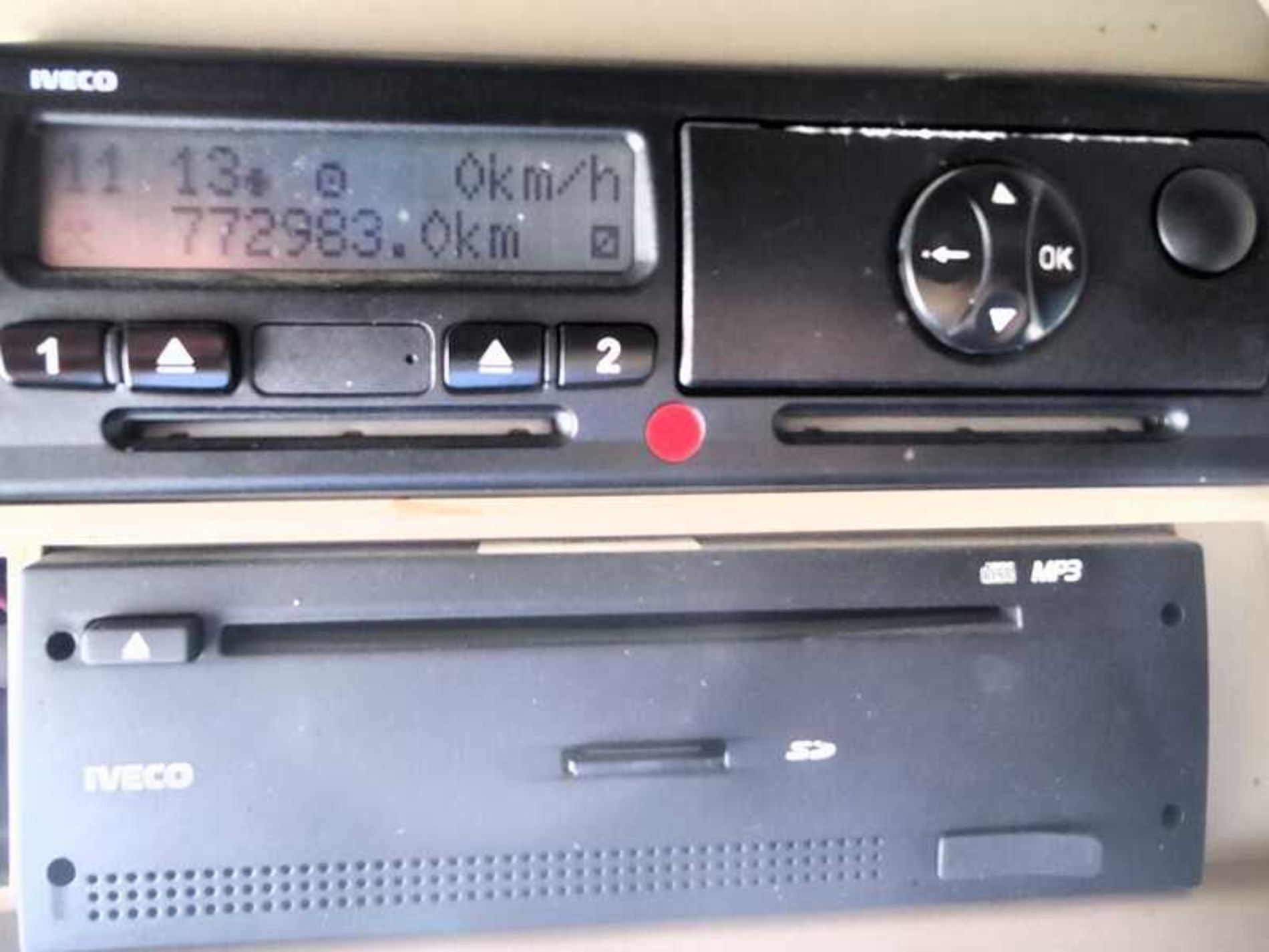 IVECO AS260S56Y/PS TRASPORTO ANIMALI - Lombardia Truck