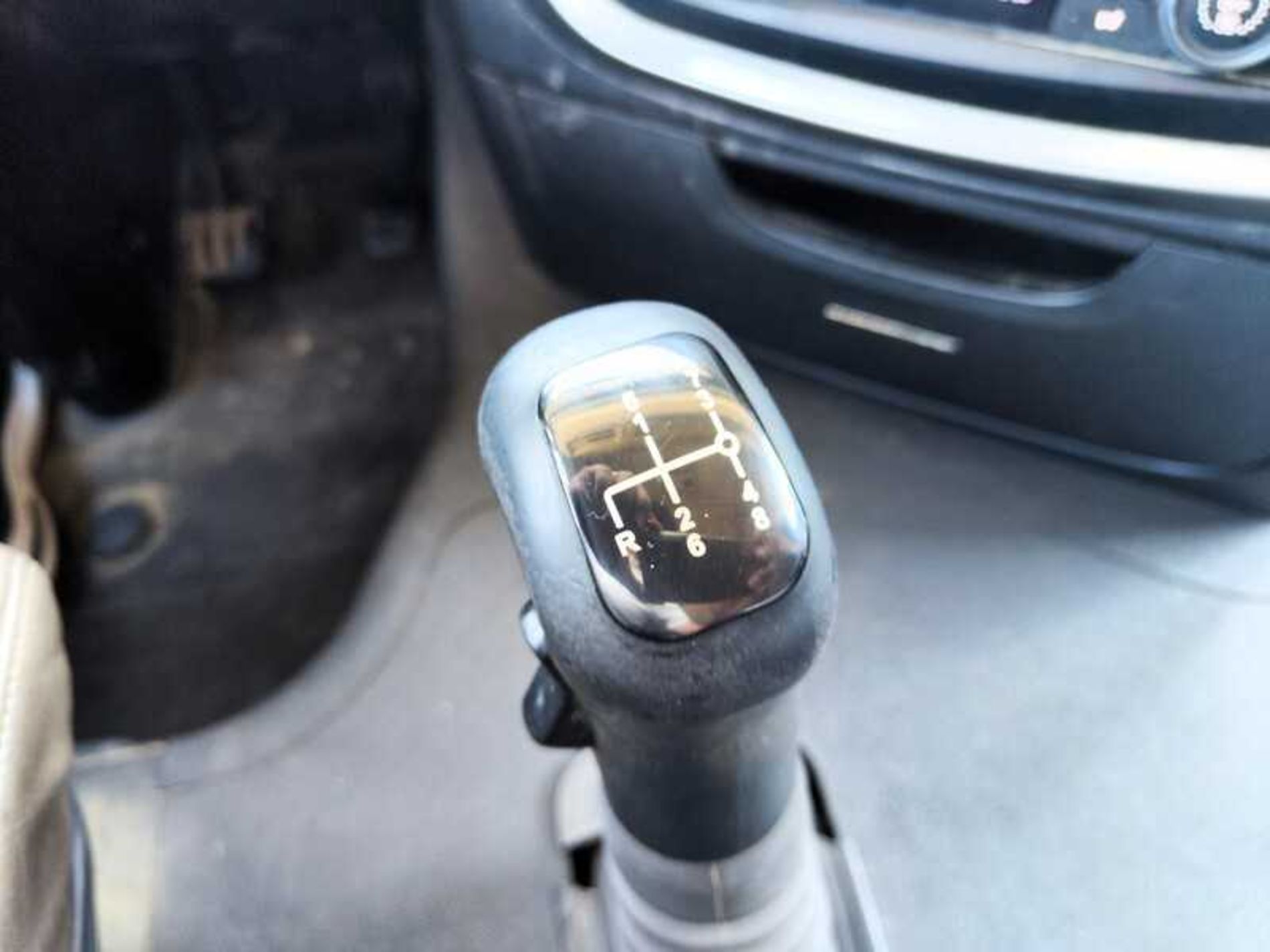 IVECO AS260S56Y/PS TRASPORTO ANIMALI - Lombardia Truck