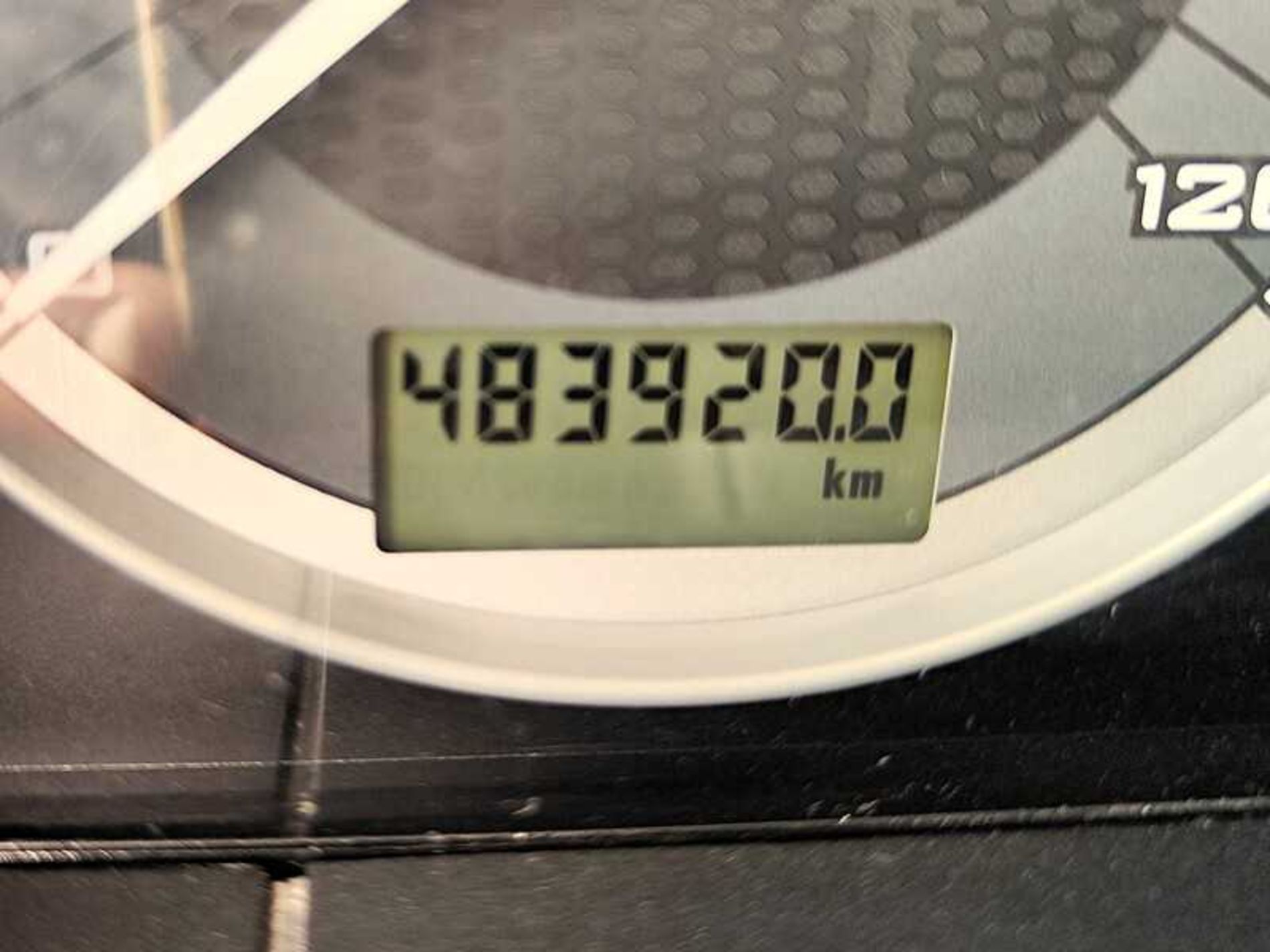 IVECO AS440S46T/P - Lombardia Truck