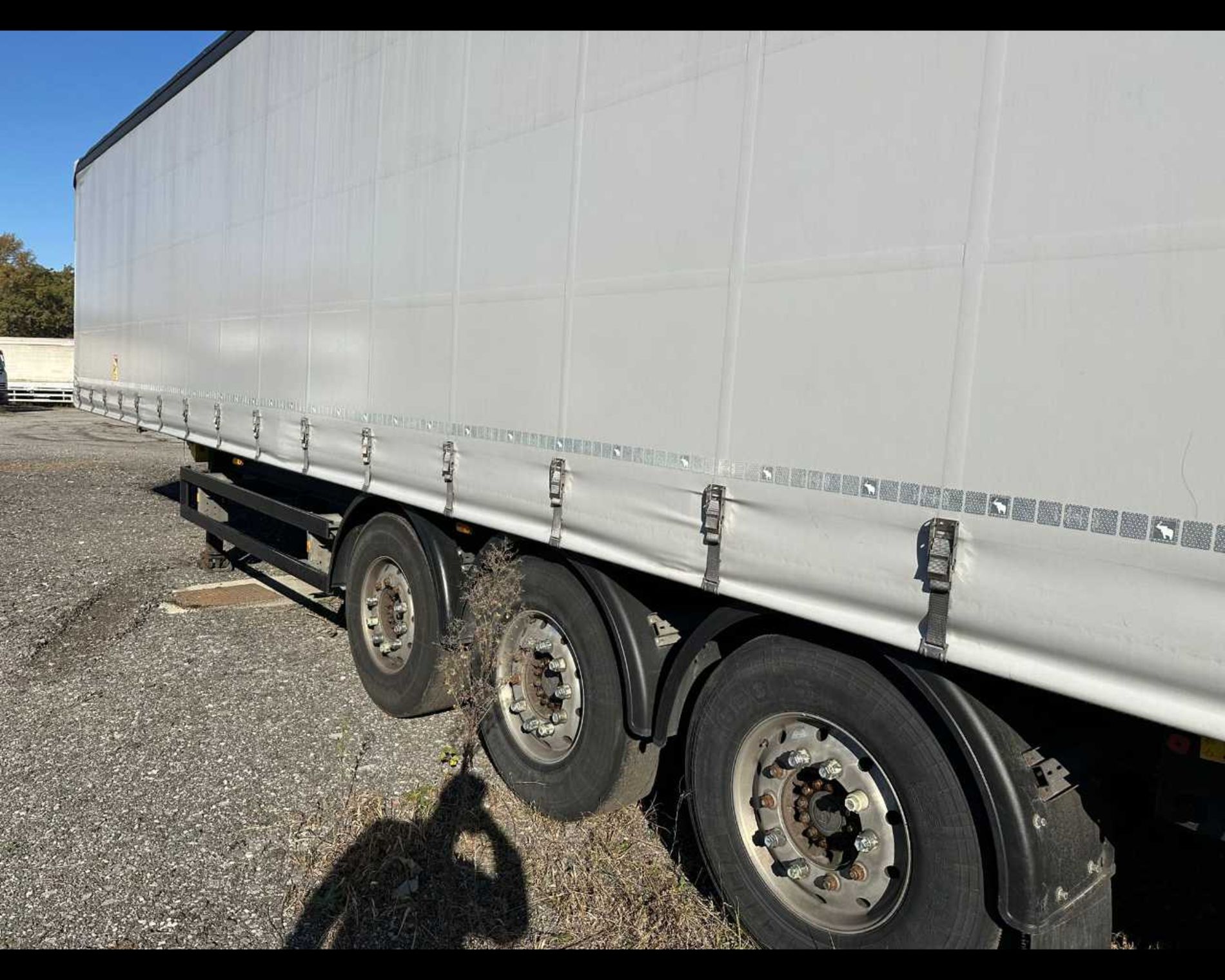 RIMORCHI  SEMIRIMORCHI SEMIRIMORCHIO SCHMITZ CARGOBULL A.G. S01 - CASSONE CENTINE TELONE - Lombardia Truck